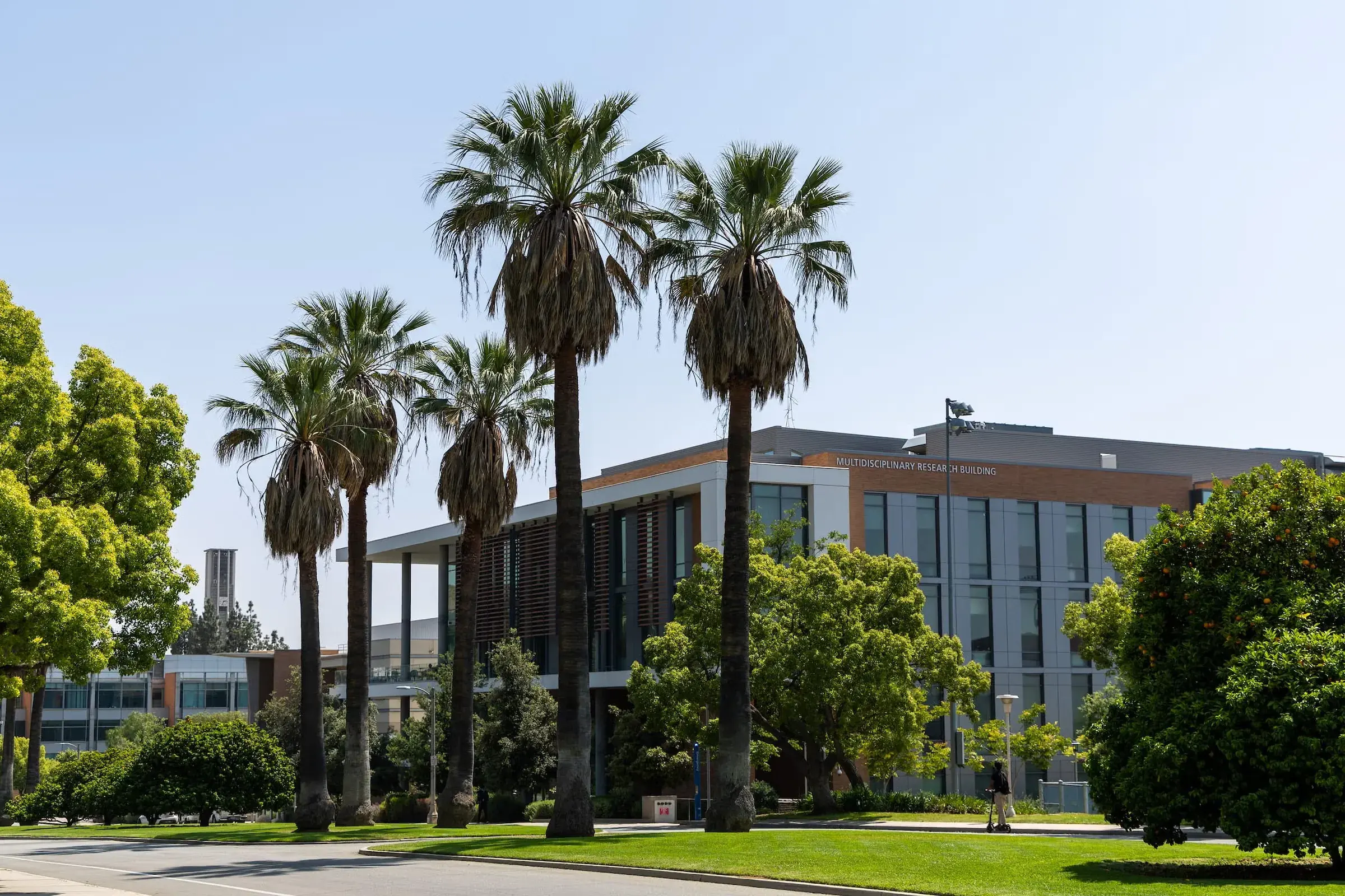 The Multidisciplinary Research Building at UC Riverside, seen through palm trees