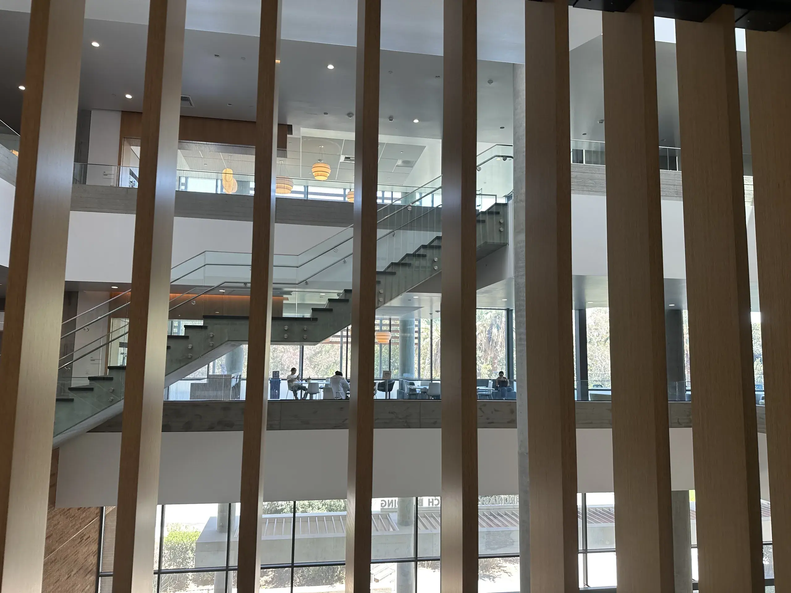 The atrium stair seen through the vertical timber screen that runs the height of the building