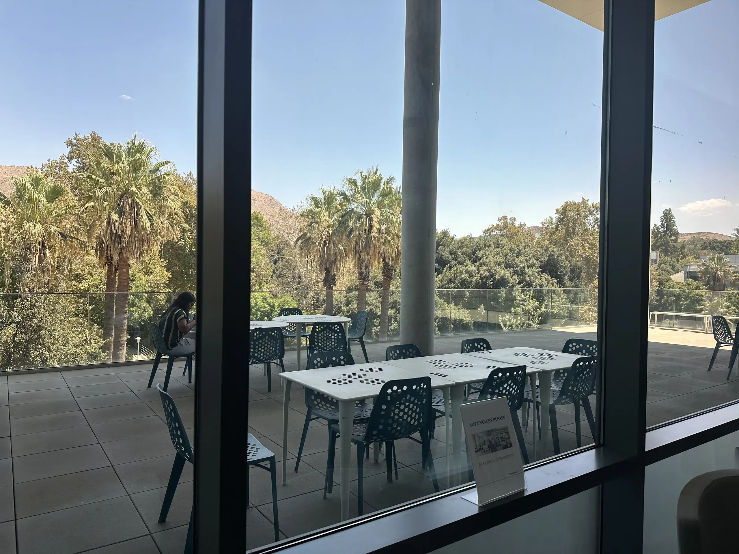 The building's outdoor terrace seen through glass, tables and chairs under palm trees