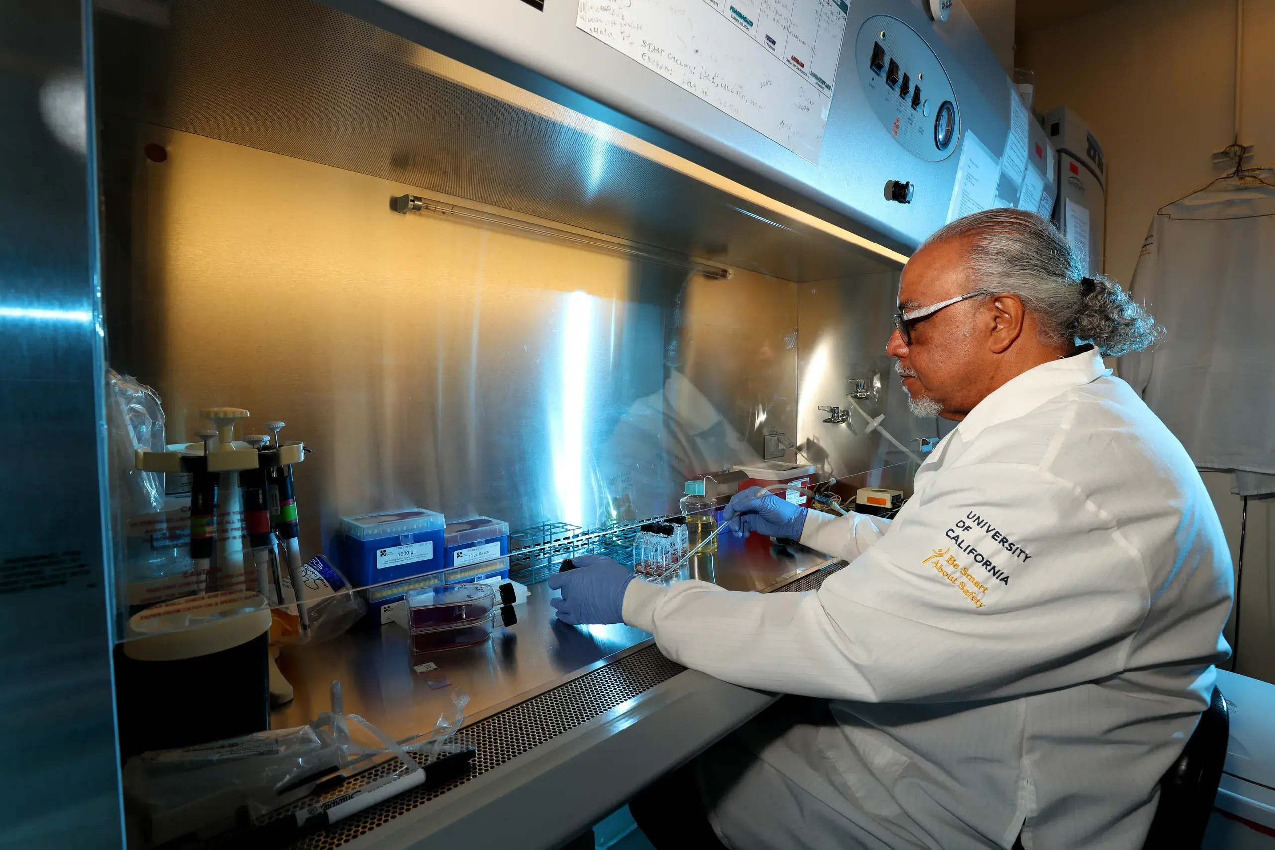 A researcher working inside a biosafety cabinet, pipettes and sample racks under the sash
