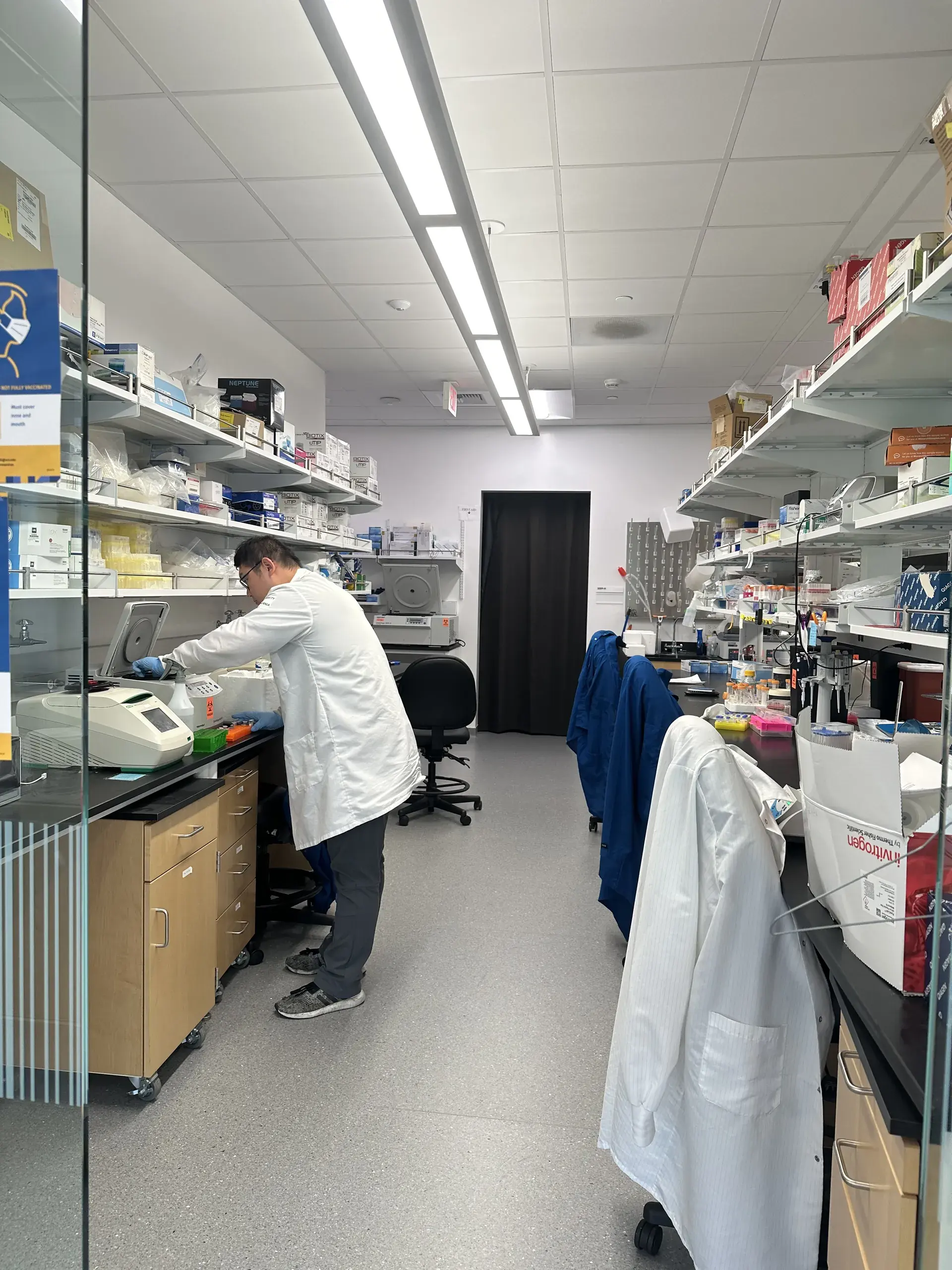 A researcher at a fume hood partway down the bench aisle