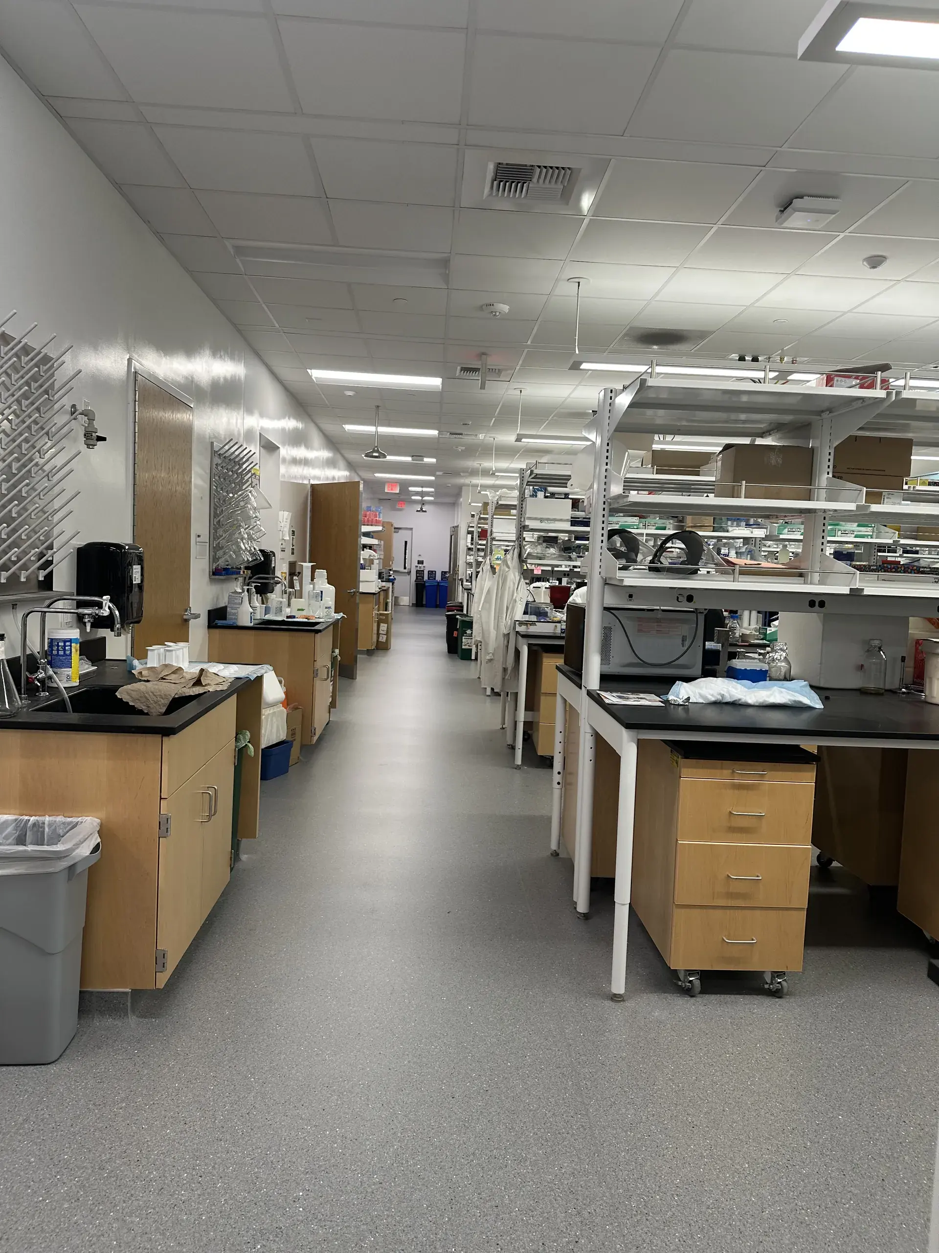 The main bench aisle, shelved reagents above the work surfaces on both sides