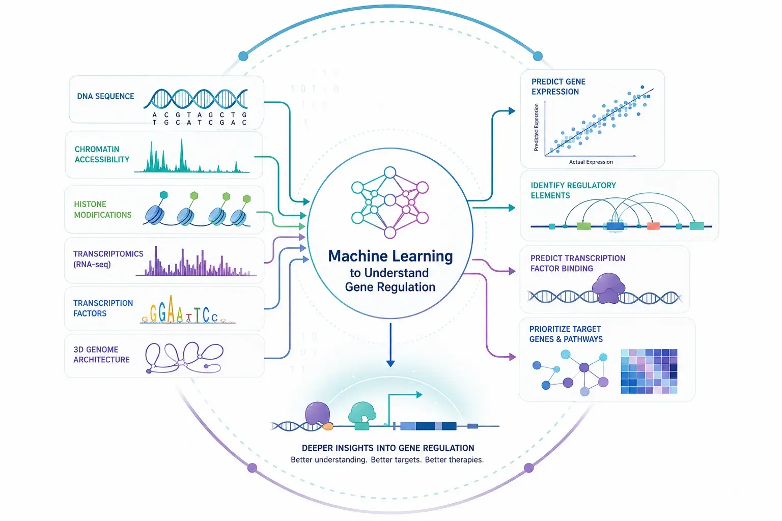 Machine learning schematic taking DNA sequence, chromatin accessibility, histone modifications, transcriptomics, transcription factors and 3D genome architecture as inputs, and predicting gene expression, regulatory elements, transcription-factor binding and target genes